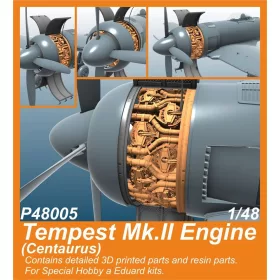  CMK Tempest Mk.II Engine (Centaurus) for SH and Eduard kits - Tempest Mk.II Bristol Centaurus motor Special Hobby és Eduard makettekhez