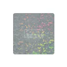 Pentart Dekorfólia hologram jégvirágok 20750