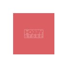 Pentart Média tinta galagonya 20 ml 21014