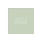 Pentart Dekorfesték lágy (chalky) zuzmózöld 100 ml 21478