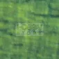 Pentart Lazúrgél olíva 100 ml 21497