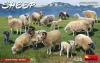MiniArt Sheep – 1:35 figura makett