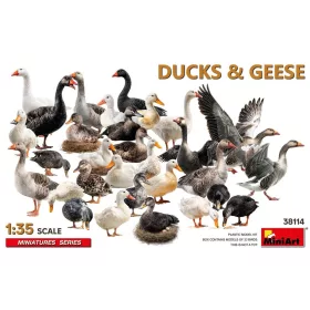 MiniArt Ducks & Geese – 1:35 figura makett