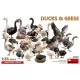 MiniArt Ducks & Geese – 1:35 figura makett