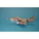 Aires A-4E/F Skyhawk Cockpit Set, Fahrwerk schacht, Bremsklappen für Hasegawa Bausatz - cockpitkészlet