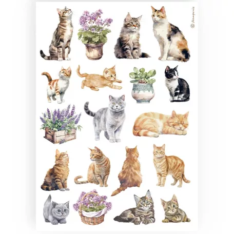 Stamperia A4 rizspapír csom.- macskák - DFSA4887