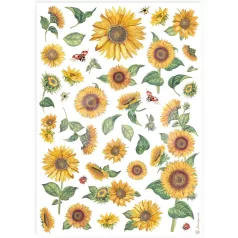 Stamperia A4 rizspapír csom.- Napraforgók - DFSA4898