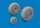 Eduard Accessories Hs 129B wheels for Takom - kerékkészlet