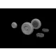 Eduard Accessories Mirage IIIC wheels for Eduard - kerékkészlet