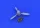 Eduard Accessories Fw 190A propeller for Eduard - Fw 190A légcsavar