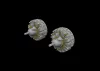 Eduard Accessories B-26 Marauder engines for Eduard/Hasegawa - motorkészlet