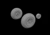 Eduard Accessories P-51D wheels cross tread - kerékkészlet
