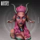 Green Stuff World INU KINGDOMS - Silenius