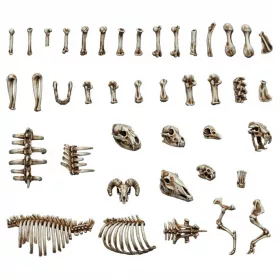 Green Stuff World Animal Bones 1:48