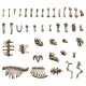 Green Stuff World Animal Bones 1:48
