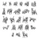 Green Stuff World Small Dogs 1:48