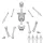 Green Stuff World Positionable Human Skeletons 1:35