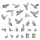 Green Stuff World Wild birds 1:48-1:35