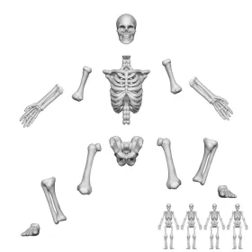 Green Stuff World Positionable Human Skeletons 1:48