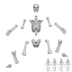 Green Stuff World Positionable Human Skeletons 1:48