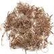 Green Stuff World Diorama Tree Roots