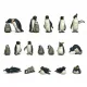 Green Stuff World Penguins 1:48ź??1:35