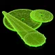 Green Stuff World Blast Markers and Templates - Fluor Green – robbanás- és területhatás sablonok