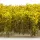 Green Stuff World Tall Shrubbery - Yellow Green
