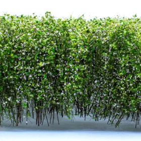 Green Stuff World Tall Shrubbery - White Green