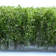 Green Stuff World Tall Shrubbery - White Green