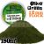 Green Stuff World OLIVE GREEN 12 mm-es statikus szórható műfű (Static Grass Flock 12mm - Olive Green - 180 ml)