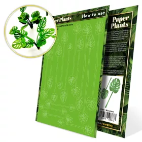 Green Stuff World Paper Plants - Monstera