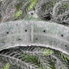 Dús mű fenyő koszorú 55 cm – látványos karácsonyi és téli ajtódísz