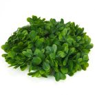 Mű zöld lombos koszorú 28 cm – dekorációs alap ajtódíszekhez