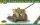 ACE F-22 Soviet 76.2mm Soviet field/AT gun – tüzérségi löveg makett 1:72