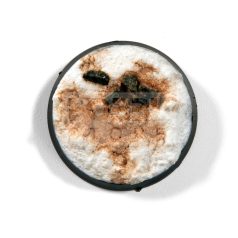   AK-Interactive ENAMEL LIQUID PIGMENT BRICK DUST 35 ml AK14011