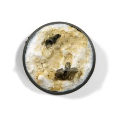 AK-Interactive ENAMEL LIQUID PIGMENT DUST 35 ml AK14014