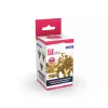 AK QUICK GEN ACRYLIC COLOR - GERMAN DAK UNIFORMS QUICK GEN SET - AK17502