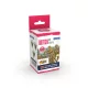 AK QUICK GEN ACRYLIC COLOR -BRITISH WWII UNIFORMS QUICK GEN SET - AK17503