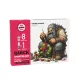AK QUICK GEN ACRYLIC COLOR - QUICK STARTER SET - AK17525