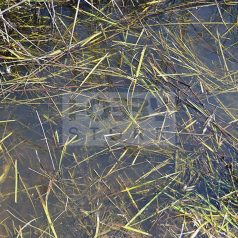 AK-Interactive STILL WATER (Víz effekt) 250 ml AK8008