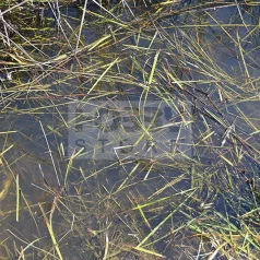 AK-Interactive STILL WATER (Víz effekt) 250 ml AK8008