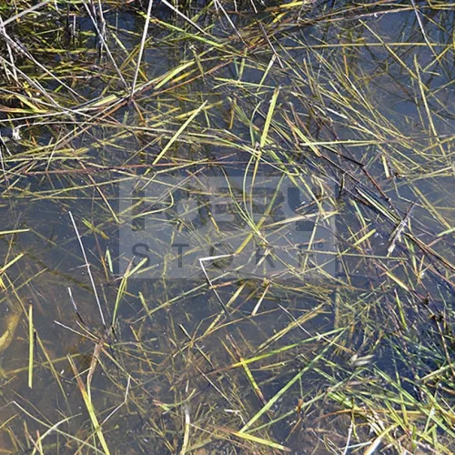 AK-Interactive STILL WATER (Víz effekt) 250 ml AK8008