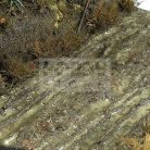 AK-Interactive TERRAINS WET GROUND (Nedves talaj textúra) 250 ml AK8016