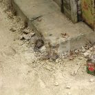 AK-Interactive TERRAINS LIGHT EARTH (Világos föld textúra) 250 ml AK8021