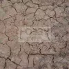 AK-Interactive - WET CRACKLE EFFECTS - 100ml (Acrylic)-Nedves repedezett talaj effekt AK8034
