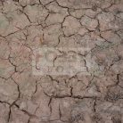 AK-Interactive - WET CRACKLE EFFECTS - 100ml (Acrylic)-Nedves repedezett talaj effekt AK8034