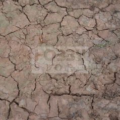   AK-Interactive - WET CRACKLE EFFECTS - 100ml (Acrylic)-Nedves repedezett talaj effekt AK8034