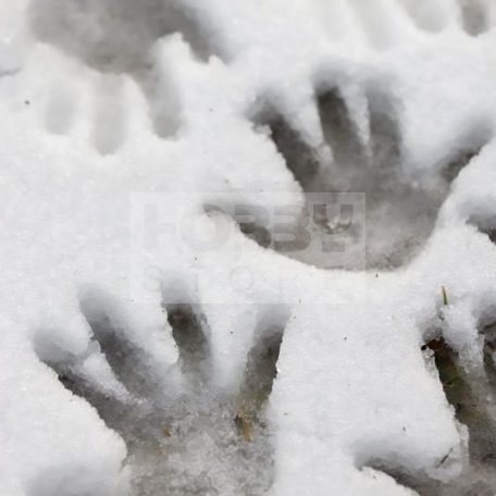 AK-Interactive ICE SPARKLES (jég hatású textúra) 100 ml AK8037