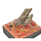 AK-Interactive RED WARGAME TUFTS - Fűcsomók diorámához AK8240